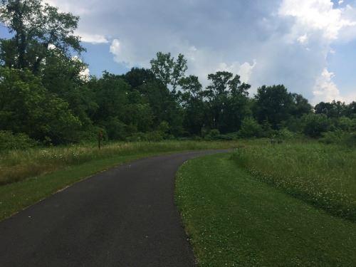 Brush Creek Trail 4 resized