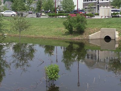 Stormwater Management