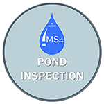 Pond Inspection