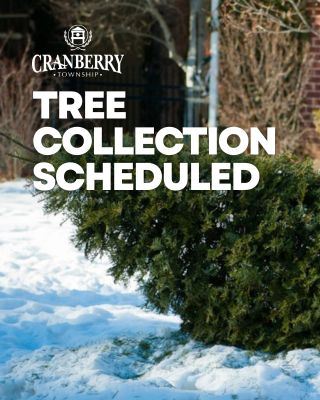 Tree Collection